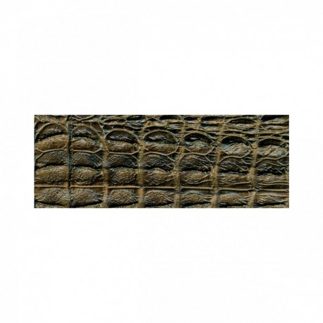 Galon Simili 30 mm