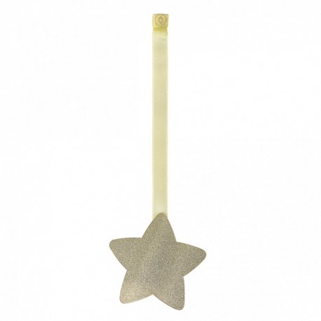Magnet étoile glitter