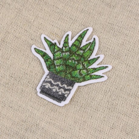Ecusson cactus - En pot gris