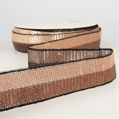 Galon paillettes bicolore