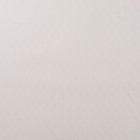 Tissu Jersey Ajouré Blanc 