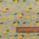 Tissu Enduit Imprimé Fruities Vert