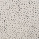 Tissu Jersey Confetti Noir Fond Ecru