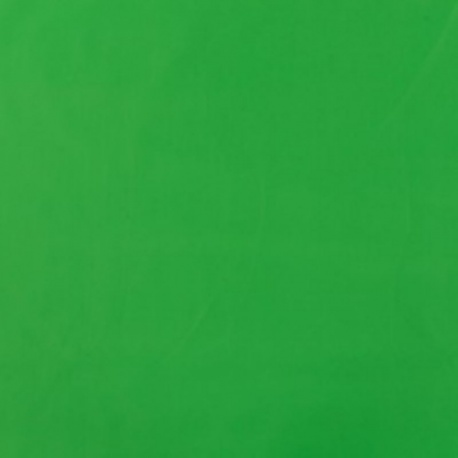 Tissu Angela Uni Vert Vif