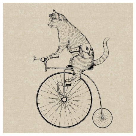 Coupon Simili Velo Cat 