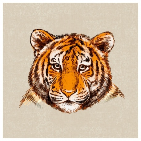 Coupon Simili Tiger 