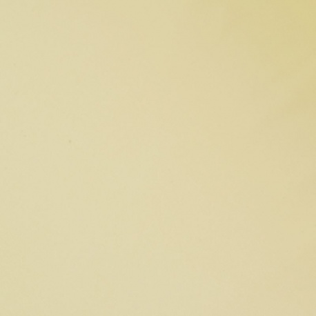 Tissu Jersey Sport Mat Beige 