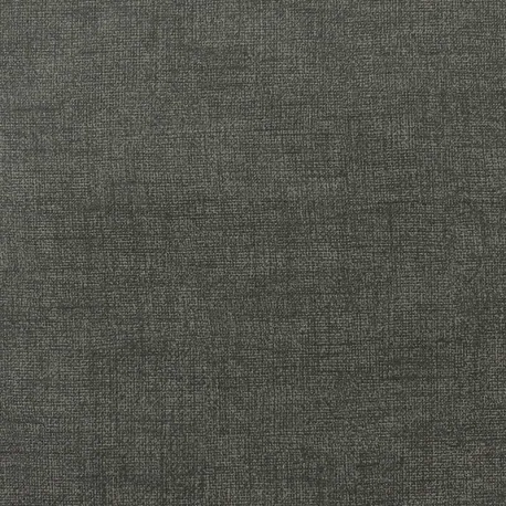 Tissu Calanques Enduit Chine Anthracite