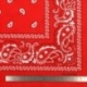 Bandana Rouge