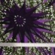 Tissu Wax Imprimé Floral Violet 