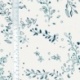 Tissu Fleurs Coton 57fils Indigo