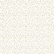 Tissu Etoile Coton 57fils Curry 