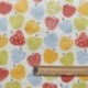 Tissu Coton Enduit Anna Multico