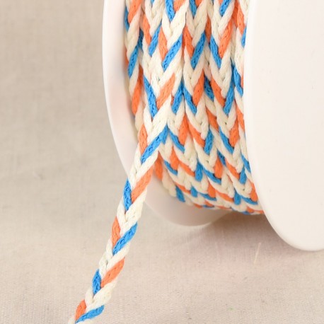 Tresse multicolore