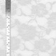 Tissu Dentelle Gris Clair 