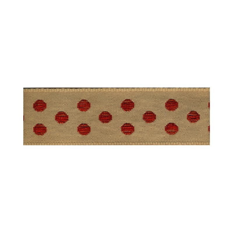 Galon pois metal 25mm