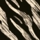 Tissu Rayonne Imprimée Noir blanc 