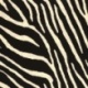 Tissu Viscose Fluide stretch Imprimée Zebre 