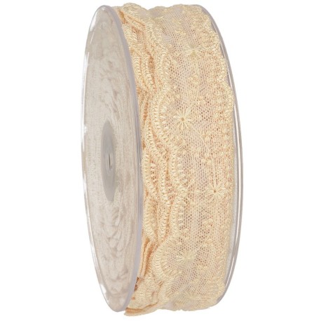 Dentelle brodee sur tulle