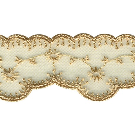 Dentelle brodee sur tulle