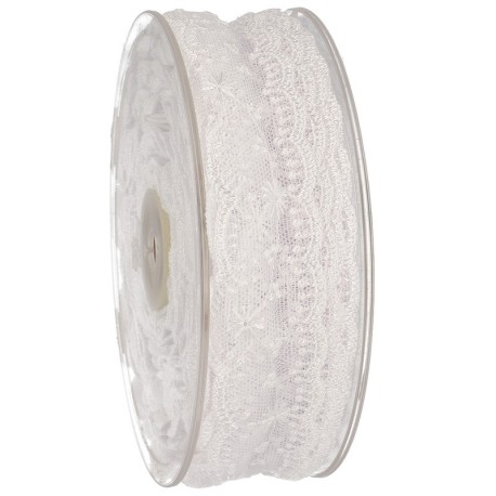 Dentelle brodee sur tulle