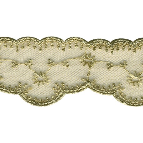 Dentelle brodee sur tulle