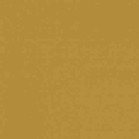 Tissu Coton Uni Jekyll Peanut 