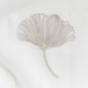 Tissu Voile Brode Ginkgos Gris 