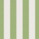 Tissu Raya Rayure Vert 