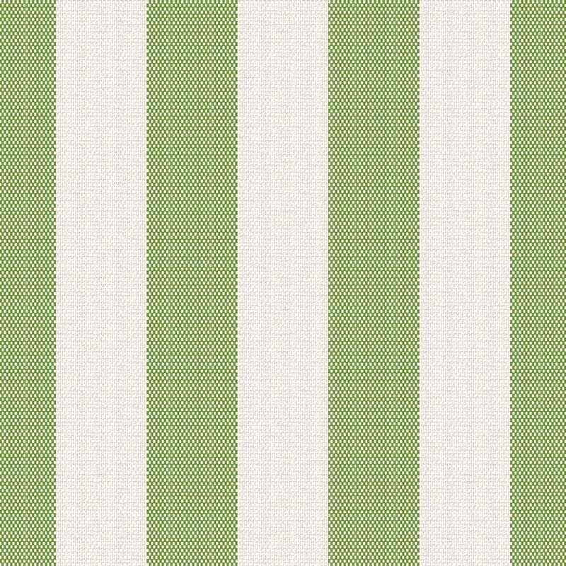 Tissu Raya Rayure Vert 