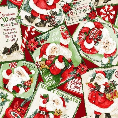 Tissu Santa Claus Multico 