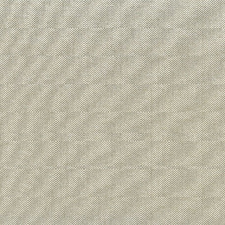 Tissu Toile Dakota H2O