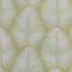 Tissu Jacquard Pisco Grosse Feuille Fond Vert Anis