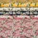 Tissu Coton Imprimé Pluie de Fleurs Jaune 