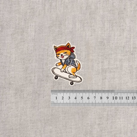 S ecusson chat ado - Skateur