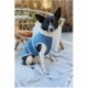 Patron 5702 Burda Creative Accessoires Pour Chiens