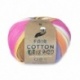 Pelote Katia Fair Cotton Diverso 200gr Coton Bio Gots