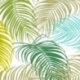 Tissu Enduit Palma Vert