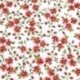 Tissu Enduit Jenna Rouge