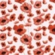 Tissu Popeline Imprimé Digital Coquelicot Rouge Fond blanc 