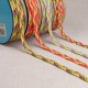 Tresse multicolore pour bracelets