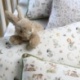 Tissu Impression Digitale Sleepy Naturel