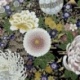 Tissu Coton Imprimé Yokohama Noir Foil