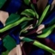 Tissu Satin de Viscose Imprimé Feuilles Vert bleu Roi 