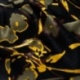 Tissu Satin de Viscose Imprimé Fleurs Kaki 