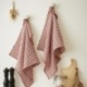 Lot 2 Essuie-mains Vickie Gaze de Coton Terracotta - L'effet papillon