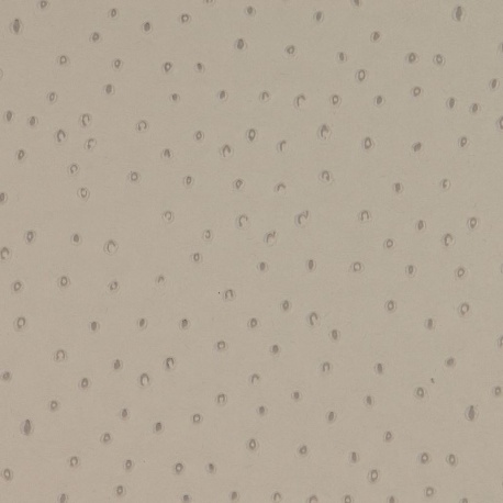 Tissu Autruche Simili Taupe 