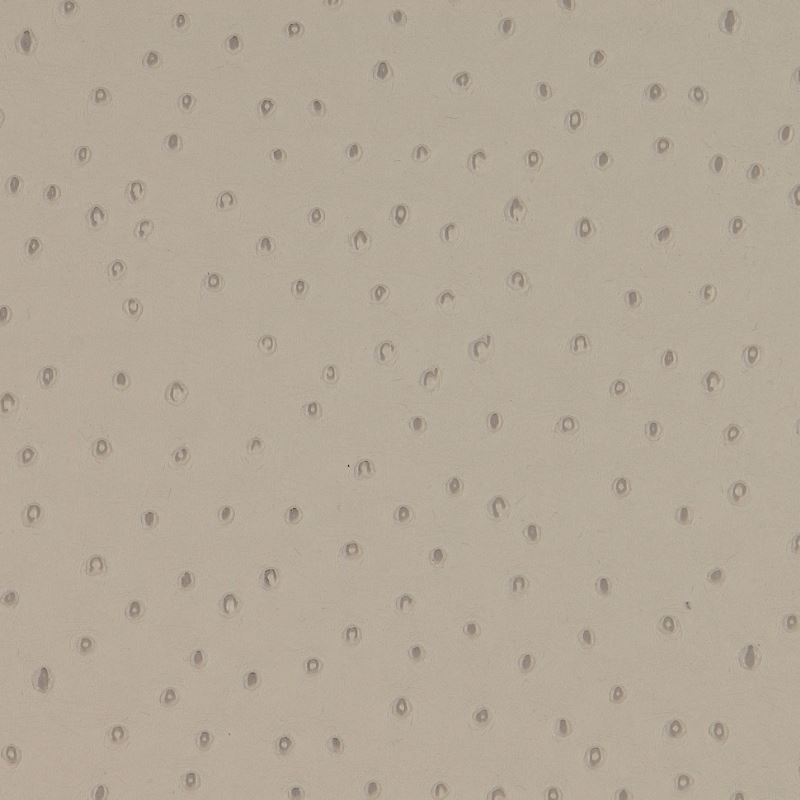 Tissu Autruche Simili Taupe 