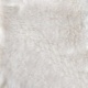 Tissu Fausse Fourrure Winnie Blanc