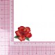 M ecusson belles fleurs - Hibiscus
